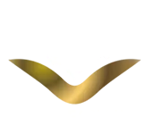 فعالیت 2