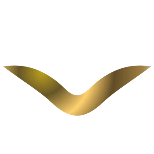 آکادمی دکتر علی مصریان